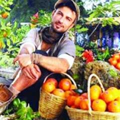 Tarkanlı narenciye reklamı işe yaradı