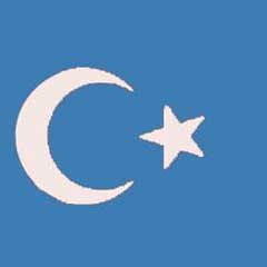 Doğu Türkistan kışa teslim