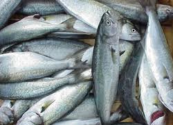 Vatandaş balık haline akın ediyor