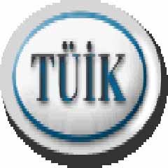 TÜİK 'TÜİK Çocuk' isimli internet sitesi kurdu