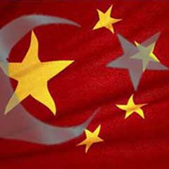 Türkiye-Çin ilişkileri 2009'da kritik geçti