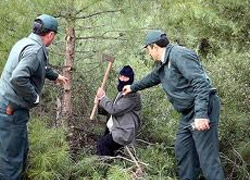 'Birkaç günlük keyif için ağaçlarımıza zarar vermeyelim'