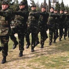 Vecdi Gönül'den bedelli açıklaması