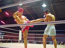 Türkiye Muay Thai takımı Rusya'da fırtına gibi esiyor