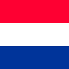 Hollanda Türk Müzesi, kapanan müzedeki eserlere sahip çıktı