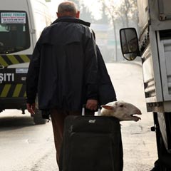 Objektife takılan ilginç kareler - FOTO