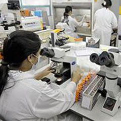 AİDS, 2008'de 2 milyon can aldı