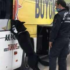 Erdoğan'ın otobüsündeki TNT'yi buldu
