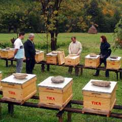 TİKA Bosna'da kalkınma projelerine devam ediyor