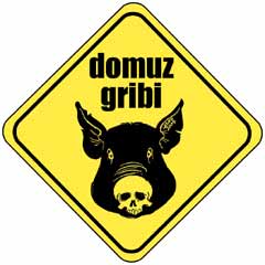 Çin'de domuz gribinden 36 ölü