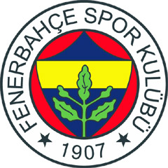 Fenerbahçe Avrupa'da mağlup