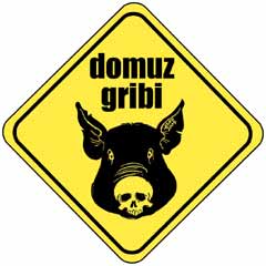 Ünlü yönetmen domuz gribine yakalandı