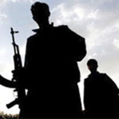 Başkale'de 1 PKK'lı terörist yakalandı