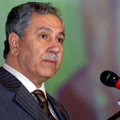 Arınç: DTP'liler de rahatsız!