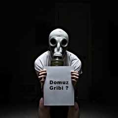 Domuz gribi gençleri daha çok etkiliyor