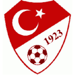 TFF: Hiçbir teknik direktör adayı ile görüşme yapılmamıştır