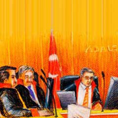"ETÖ davası hukuka doğru ilerlemeyi sağlıyor"