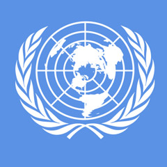 Sri Lanka Başbakanı: BM ülkelerin içişlerine karışmamalı