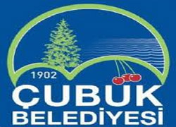 Çubuk Belediyesi'nden Arakan için ilaç toplama kampanyası