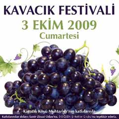 Üzüm köyü Kavacık, adını festivalle duyuracak