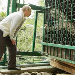 Putin bu kez leoparlarla