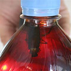 Markalı içeceğin içinden böcek çıktı