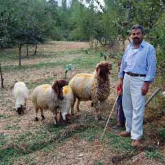 Kazıda lav silahları ve bombalar bulundu