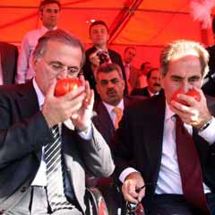 Şahin'in ortak akıl vurgusu