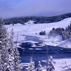 Kartpostal 72 yıl sonra adrese ulaştı