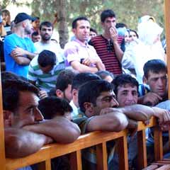 4 aylık işe 250 kişi alınacaktı, 2 bin kişi geldi