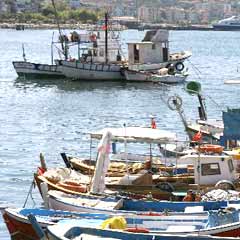 Marmara'daki balıkçıların umudu Karadeniz'de
