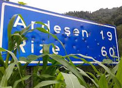 Trafik tabelasına 45 kurşun