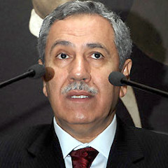 Arınç: Seçimler öncesi risk alıyoruz