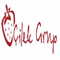 Çilek Grup: Eski bir çalışanımız yapmış!