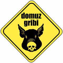 Domuzlardan insanları korumak gerek