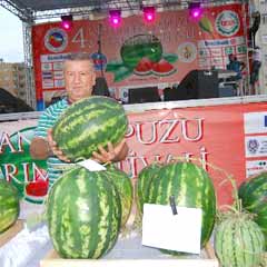 Ceyhan'ın karpuzu festivalle tanıtılıyor