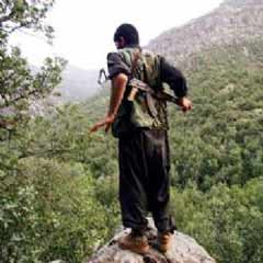 7 teröristi öldüren PKK'lı beraat etti