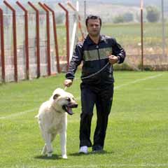 Sivasspor'da kura heyecanı