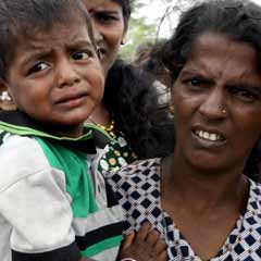 Sri Lanka'da Tamiller açlık ve sefalet içinde