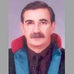 Buyurun size demokratik çözüm