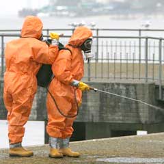 Kktc'de H1n1 Şüphesi
