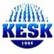 KESK, operasyonları protesto etti