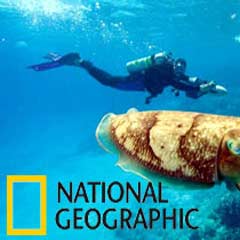 National Geographic dalgıcı çekimler sırasında öldü
