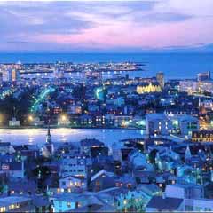 Domuz gribi İzlanda'ya ulaştı