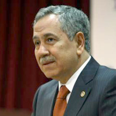 Mayın temizlemeye Arınç yorumu