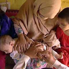 Pakistan'da 1,9 milyon mülteci acil yardım bekliyor