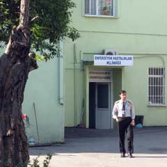 Domuz gribinde FLAŞ gelişme