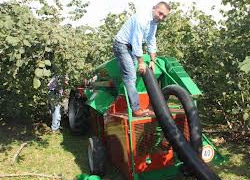 Ordu'da fındık toplama makinesi denendi
