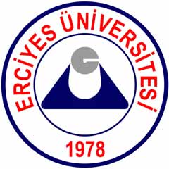 EÜ, Avrupalı Türklerin sorunlarına ışık tutacak