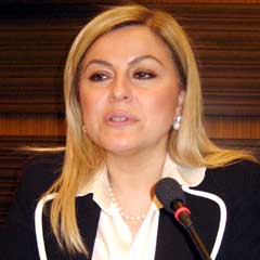 Terör uzmanı Rektör Arıboğan: ETÖ çözümlenmeli